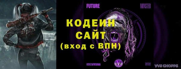 индика Покачи