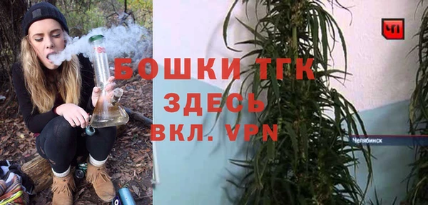 индика Покачи