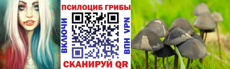 Галлюциногенные грибы Psilocybine cubensis Назарово