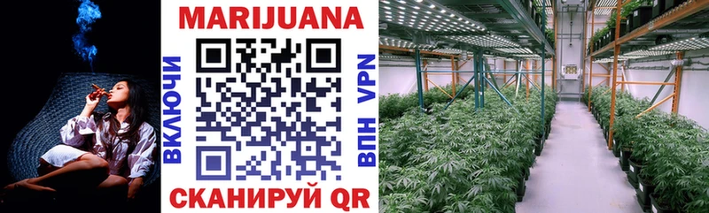 darknet Telegram  Назарово  Бошки марихуана SATIVA & INDICA  MEGA ССЫЛКА 